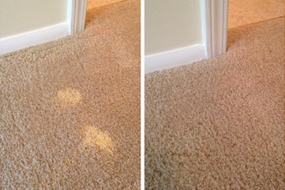 Bleach & Spot Repair